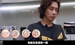 日媒爆料顶流恋情视频大全,顶流明星恋情视频大揭秘